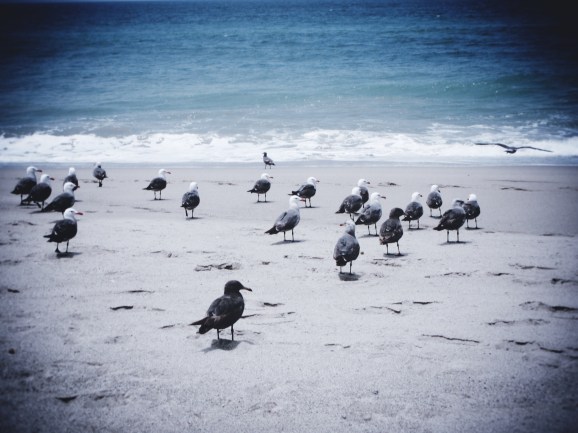 Little G's first artistic photo attempt- impressive, huh?