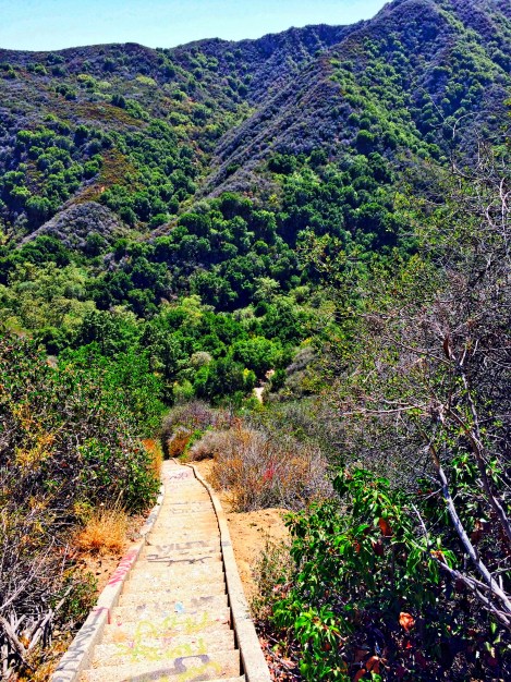 Looking down at the stairs- that disappear into the abyss