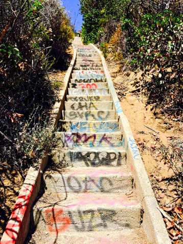 Stairs tagged by idiots
