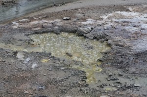 Bubbling mud- not spa worthy at over 100 degrees celsius