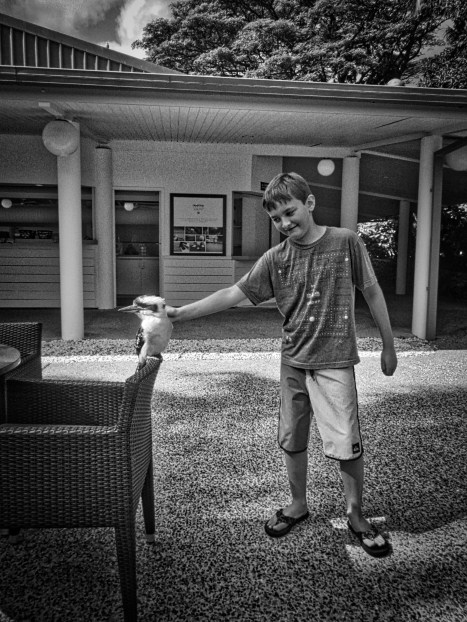 It's an optical illusion-no feathers were touched- but the bird was super mellow.